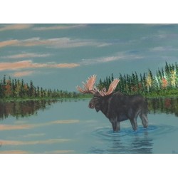 Original Art Moose Reflections by Francis Forget